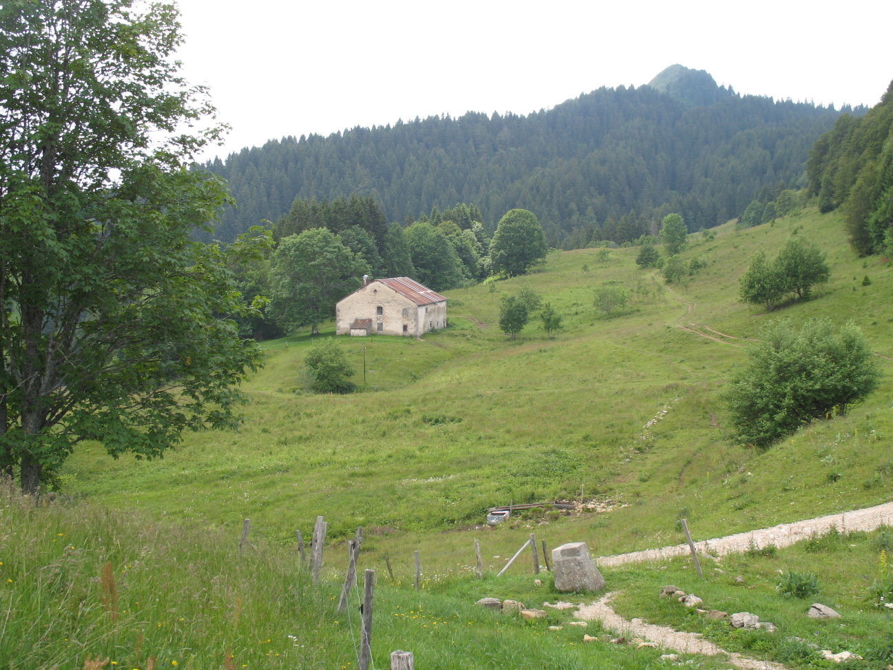 La borne au lion et le crÃªt de Chalam